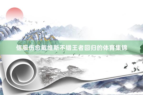 信服伤愈戴维斯不错王者回归的体育集锦