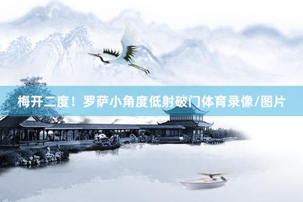 梅开二度！罗萨小角度低射破门体育录像/图片