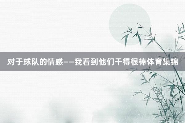 对于球队的情感——我看到他们干得很棒体育集锦