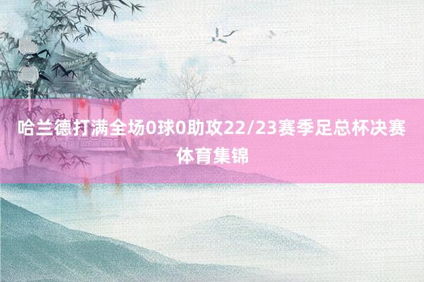 哈兰德打满全场0球0助攻22/23赛季足总杯决赛体育集锦