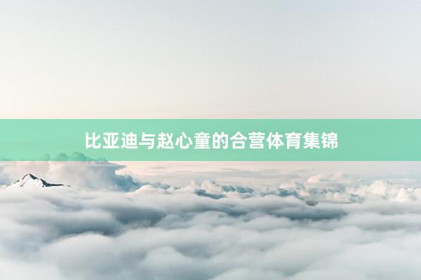 比亚迪与赵心童的合营体育集锦