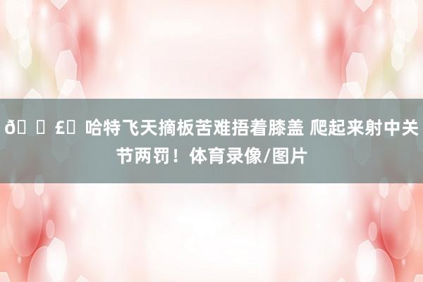 💣️哈特飞天摘板苦难捂着膝盖 爬起来射中关节两罚！体育录像/图片