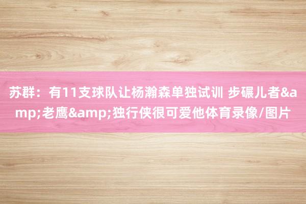 苏群：有11支球队让杨瀚森单独试训 步碾儿者&老鹰&独行侠很可爱他体育录像/图片