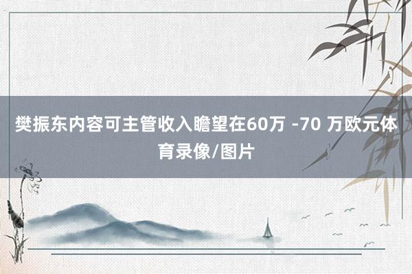 樊振东内容可主管收入瞻望在60万 -70 万欧元体育录像/图片