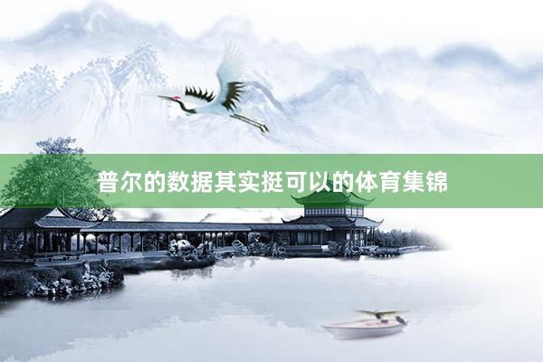 普尔的数据其实挺可以的体育集锦