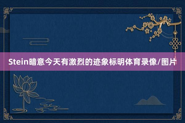 Stein暗意今天有激烈的迹象标明体育录像/图片