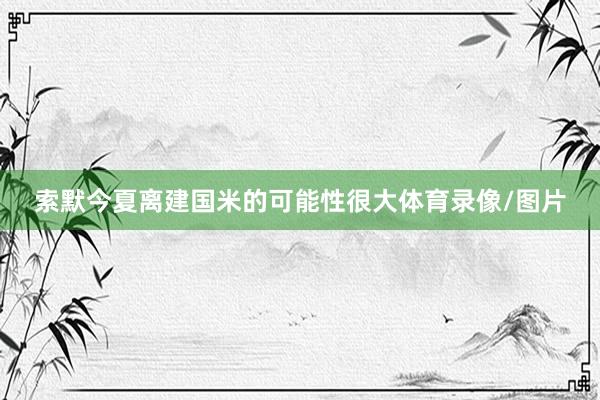 索默今夏离建国米的可能性很大体育录像/图片