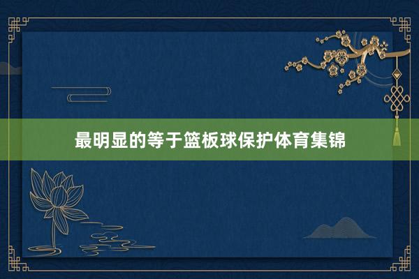 最明显的等于篮板球保护体育集锦
