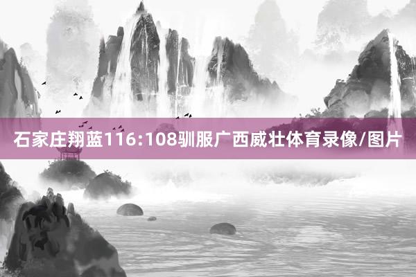 石家庄翔蓝116:108驯服广西威壮体育录像/图片