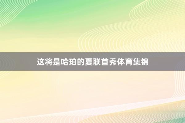 这将是哈珀的夏联首秀体育集锦