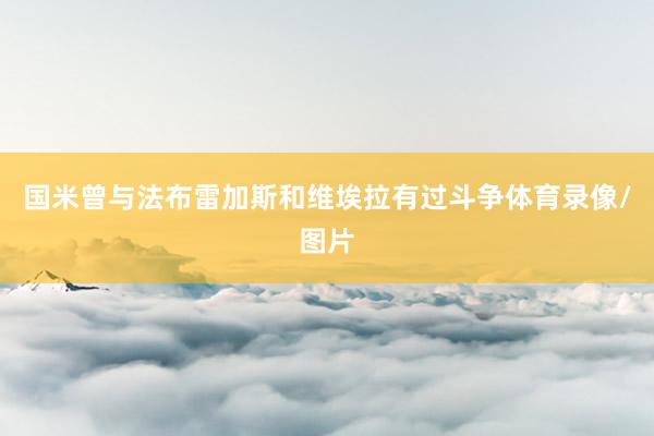 国米曾与法布雷加斯和维埃拉有过斗争体育录像/图片