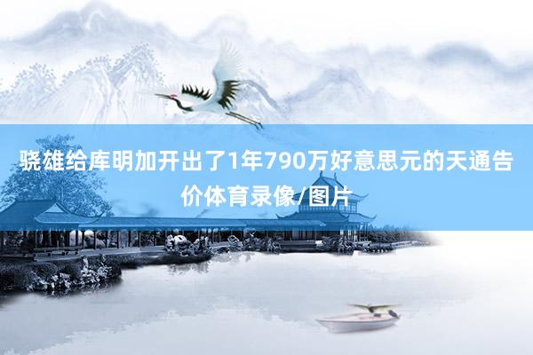 骁雄给库明加开出了1年790万好意思元的天通告价体育录像/图片