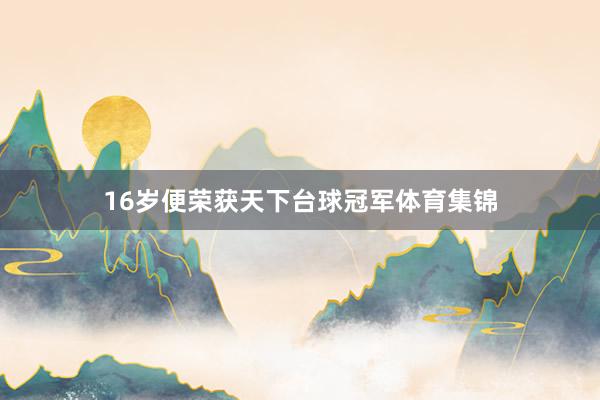 16岁便荣获天下台球冠军体育集锦
