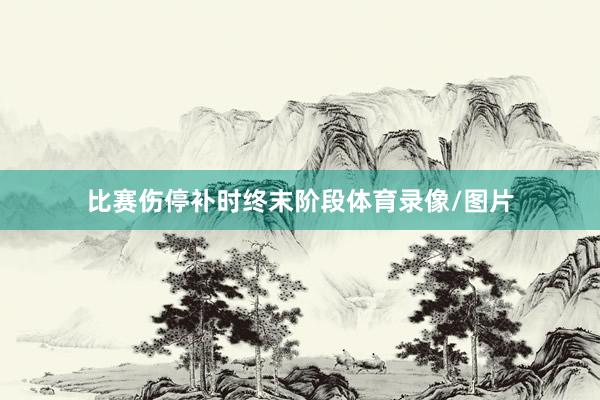 比赛伤停补时终末阶段体育录像/图片