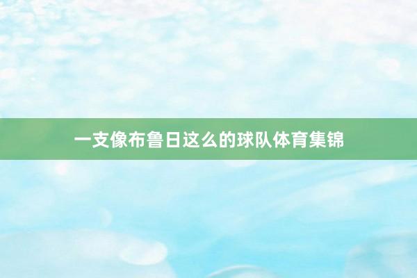一支像布鲁日这么的球队体育集锦