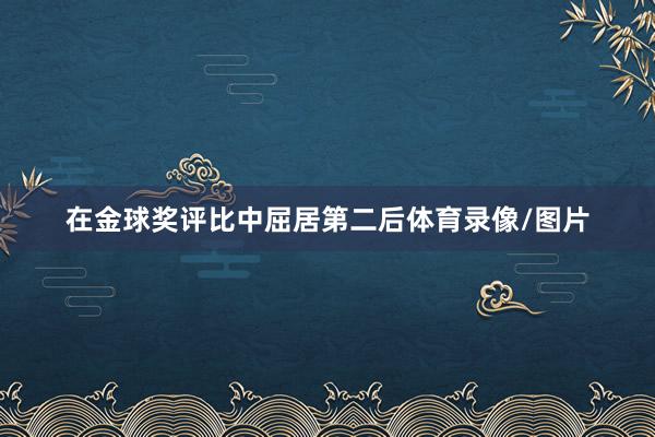 在金球奖评比中屈居第二后体育录像/图片