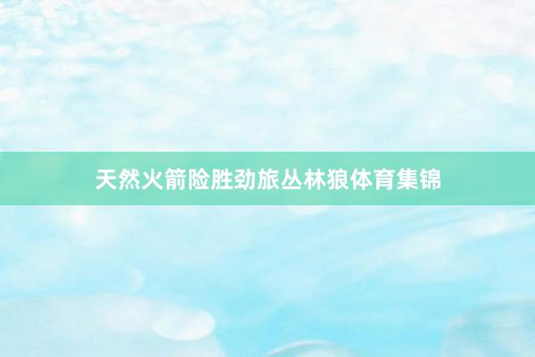 天然火箭险胜劲旅丛林狼体育集锦