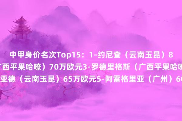 中甲身价名次Top15：1-约尼查（云南玉昆）80万欧元2-马克斯 （广西平果哈嘹）70万欧元3-罗德里格斯（广西平果哈嘹）70万欧元4-拉布亚德（云南玉昆）65万欧元5-阿雷格里亚（广州）60万欧元6-贝尼亚罗萨（广州）50万欧元7-科特尼克（大连英博）50万欧元8-赫维尔（广西平果哈嘹）45万欧元9-安以恩（辽宁铁东谈主）45万欧元10-向余望（重庆铜梁龙）45万欧元11-国脉宜裕（辽宁铁东谈