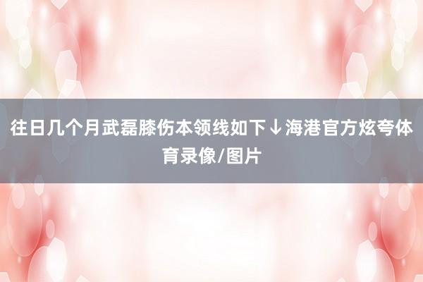 往日几个月武磊膝伤本领线如下↓海港官方炫夸体育录像/图片