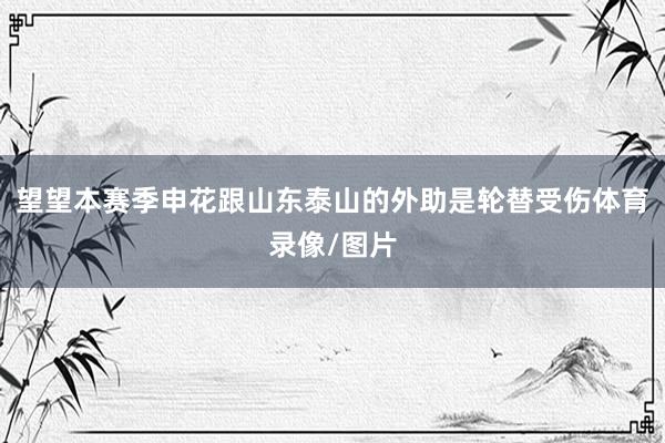 望望本赛季申花跟山东泰山的外助是轮替受伤体育录像/图片