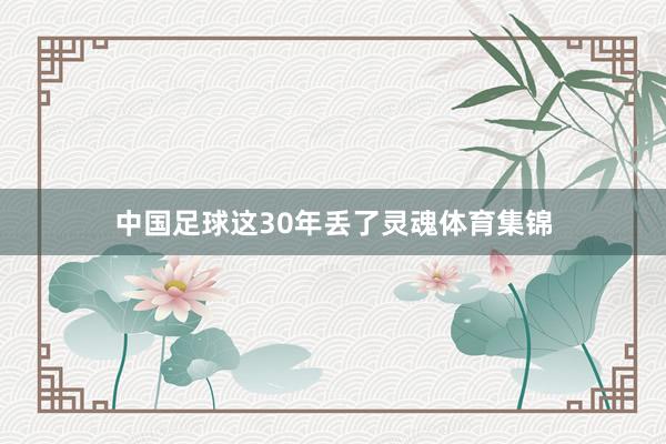 中国足球这30年丢了灵魂体育集锦