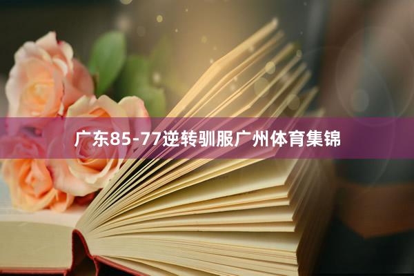 广东85-77逆转驯服广州体育集锦
