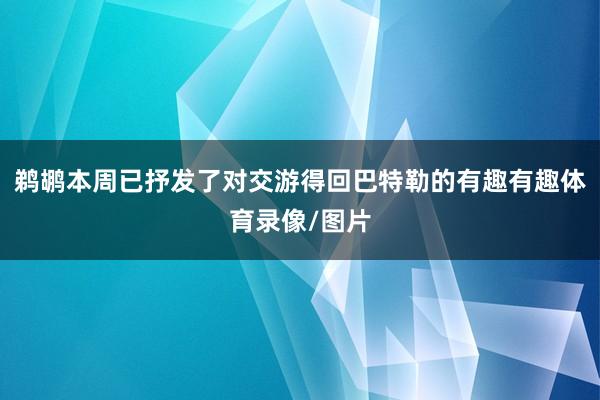 鹈鹕本周已抒发了对交游得回巴特勒的有趣有趣体育录像/图片
