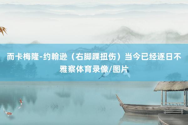 而卡梅隆-约翰逊（右脚踝扭伤）当今已经逐日不雅察体育录像/图片