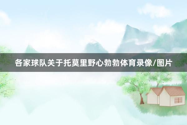 各家球队关于托莫里野心勃勃体育录像/图片