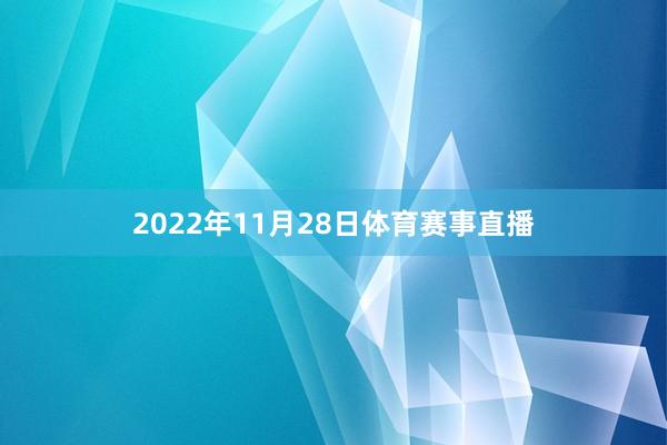 2022年11月28日体育赛事直播