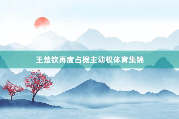 王楚钦再度占据主动权体育集锦