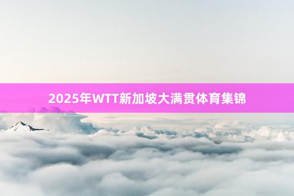 2025年WTT新加坡大满贯体育集锦