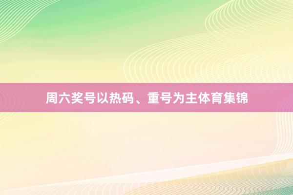 周六奖号以热码、重号为主体育集锦