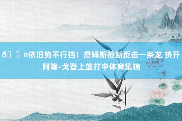 😤依旧势不行挡！詹姆斯抢断反击一条龙 挤开阿隆-戈登上篮打中体育集锦