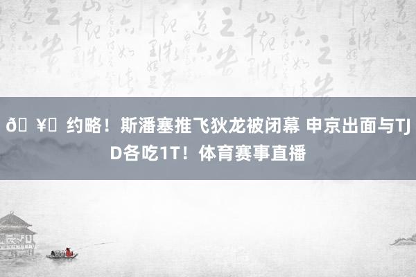 🥊约略！斯潘塞推飞狄龙被闭幕 申京出面与TJD各吃1T！体育赛事直播