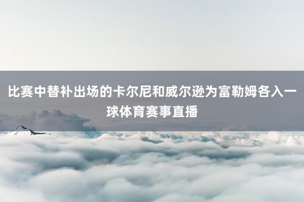 比赛中替补出场的卡尔尼和威尔逊为富勒姆各入一球体育赛事直播