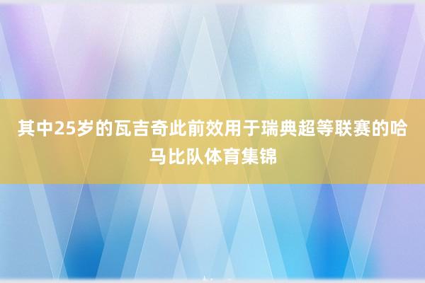 其中25岁的瓦吉奇此前效用于瑞典超等联赛的哈马比队体育集锦