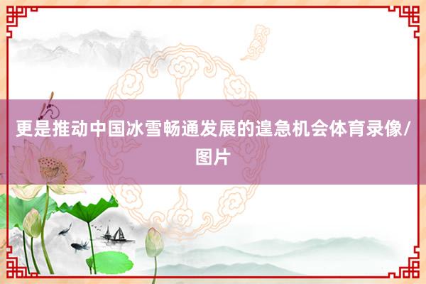 更是推动中国冰雪畅通发展的遑急机会体育录像/图片