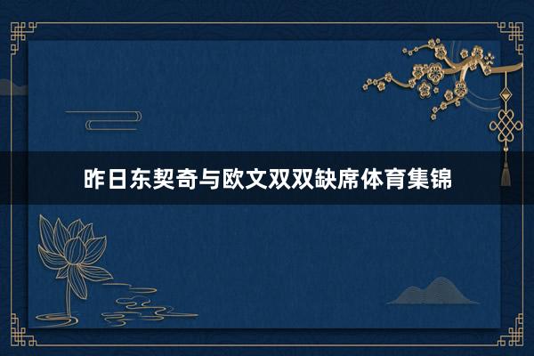 昨日东契奇与欧文双双缺席体育集锦