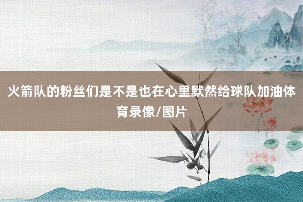 火箭队的粉丝们是不是也在心里默然给球队加油体育录像/图片