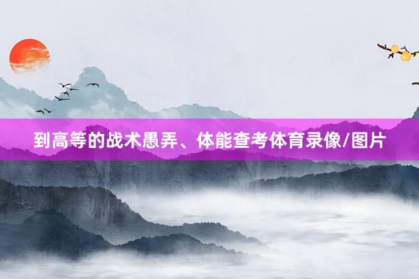 到高等的战术愚弄、体能查考体育录像/图片