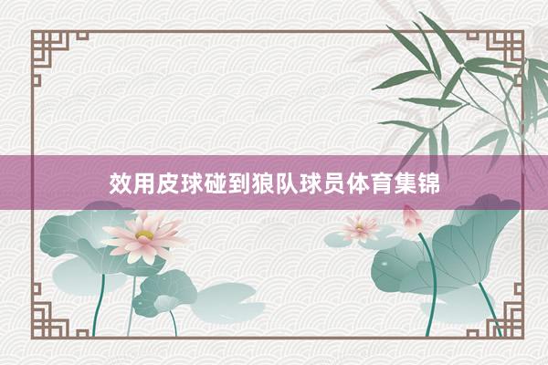 效用皮球碰到狼队球员体育集锦