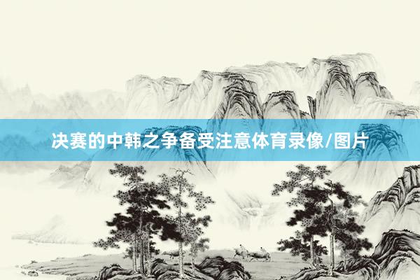 决赛的中韩之争备受注意体育录像/图片