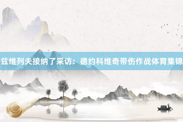 兹维列夫接纳了采访：德约科维奇带伤作战体育集锦