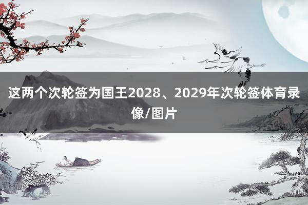 这两个次轮签为国王2028、2029年次轮签体育录像/图片