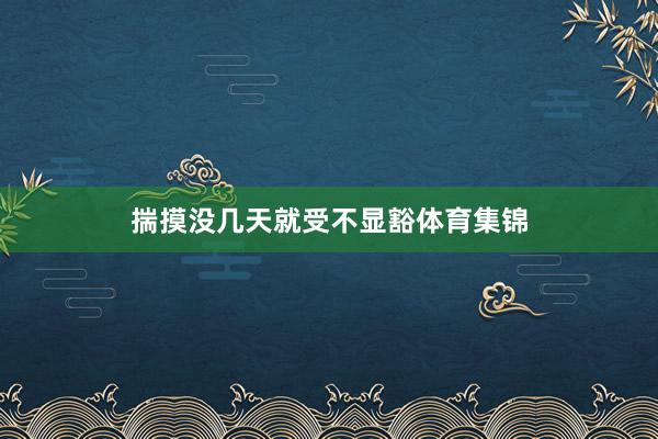 揣摸没几天就受不显豁体育集锦