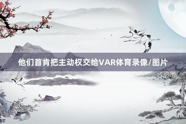 他们首肯把主动权交给VAR体育录像/图片