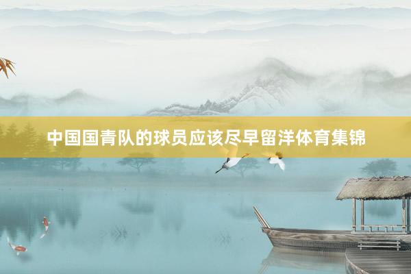 中国国青队的球员应该尽早留洋体育集锦