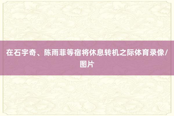 在石宇奇、陈雨菲等宿将休息转机之际体育录像/图片
