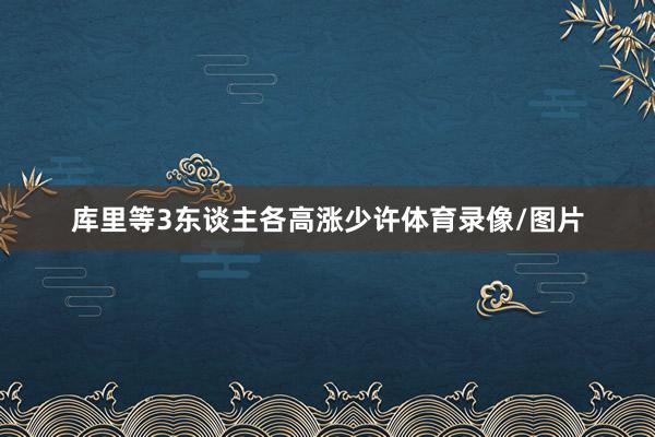 库里等3东谈主各高涨少许体育录像/图片